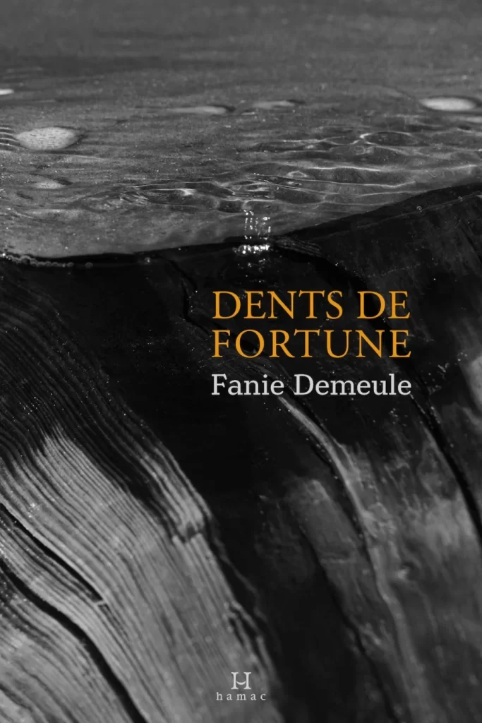 Fanie Demeule_livre2