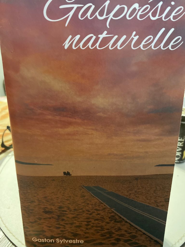 Gaston_Sylvestre_livre2