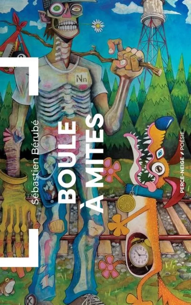 Sébastien_bérubé_livre1